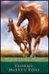 Stormy, Misty's Foal - Marguerite Henry Horse Books #3