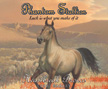 Heartbreak Bronco - Phantom Stallion #13 CD