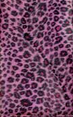 New International Version (NIV) Plush Pink Sparkle Leopard Bible