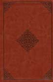 English Standard Version (ESV) Study Bible - Saddle Ornament Design