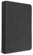 ESV Student Study Bible TruTone Gray