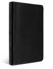 ESV Large Print Value Thinline Bible - Black Trutone