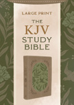 King James Study Bible Large Print Olive Branches