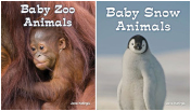 All About Baby Animals - Set of 2
