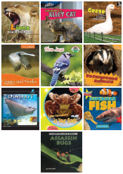 Pack of 10 Animal Books - Reinforced Hardcover