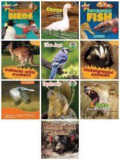 Pack of 10 Animal Books - Reinforced Hardcover