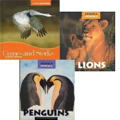 Animals, Animals - Set of 3
