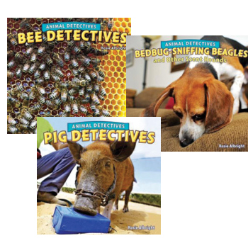 Animal Detectives - Bees, Beagles, Pigs - Set of 3