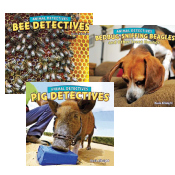 Animal Detectives - Bees, Beagles, Pigs - Set of 3