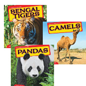 Animals of Asia - Set of 3