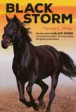 Black Storm by Thomas C. Hinkle