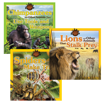 Awesome Animal Skills - Set of 3