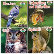 Backyard Safari - Pack of 4 Hardcover