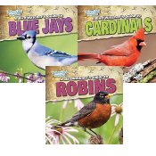 Backyard Bird Watchers - Set of 5