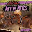 Army Ants - Bad to the Bone Nastiest Animals