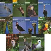 Birds of the World - Set of 11