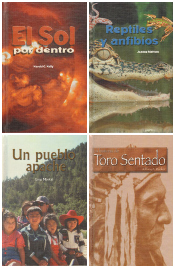 Buena Letras Readers - Set of 4