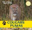 Cougars/Pumas Cats of the Wild Bilingual English/Spanish
