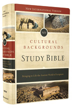 NIV Cultural Backgrounds Study Bible - Hardcover