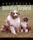 The Essential: Australian Shepherd