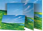 Large Mounted Meadow & Sky for 12 inch Figures