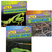 Fun Fact File: BUGS!  Set of 3