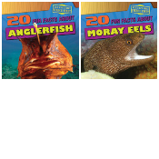 Fun Fact File: Fierce Fish - Set of 2