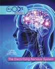 The Electrifying Nervous System - God's Wondrous Machine