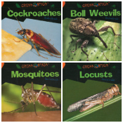 Gross Bugs Set of 4 - 2 with minor problems