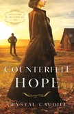 Counterfeit Hope - Hidden Hearts of the Gilded Age #2