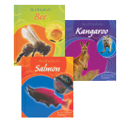 Life Cycles - Set of 3