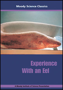 Experience With an Eel - Moody Science Classics DVD