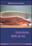 Experience With an Eel - Moody Science Classics DVD