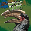 Creepy Birds - Nature's Creepiest Creatures