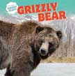 Grizzly Bears - North America's Biggest Beasts