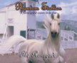 The Renegade - Phantom Stallion #4 CD