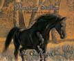 Challenger - Phantom Stallion #6 CD
