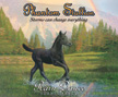 Rain Dance - Phantom Stallion #12 CD