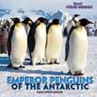 Emperor Penguins of the Antarctic - Brrr! Polar Animals