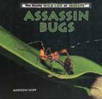 Assassin Bugs - Really Wild Life of Animals