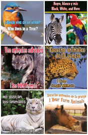 Rourke Board Books - Set of 6 Bilingual