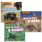 SCATALOG - A Kid's Field Guide to Animal Poop - Set of 4