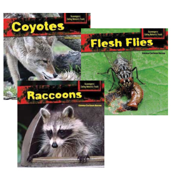 Scavengers: Eating Nature's Trash - Set of 3