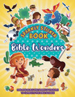 Bible Wonders Sparkly Sticker Book