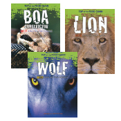 Top of the Food Chain - Set of 4