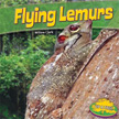 Flying Lemurs - Up a Tree