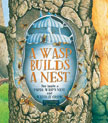 Wasp Builds a Nest