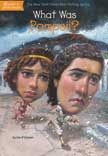 What Was Pompeii?