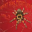 What Has Eight Legs and...? Animal Board Book