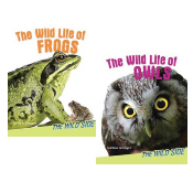 Wild Side - Frogs and Owls - Set of 2